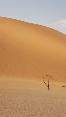  | 絶景事典