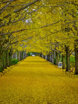  | 絶景事典