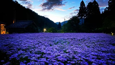  | 絶景事典