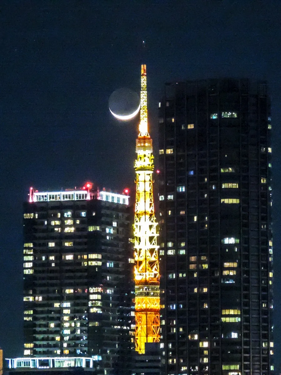 投稿写真：三日月パール東京タワー