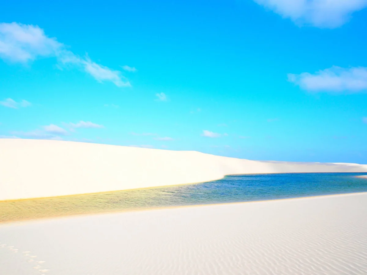 areiさんの投稿写真