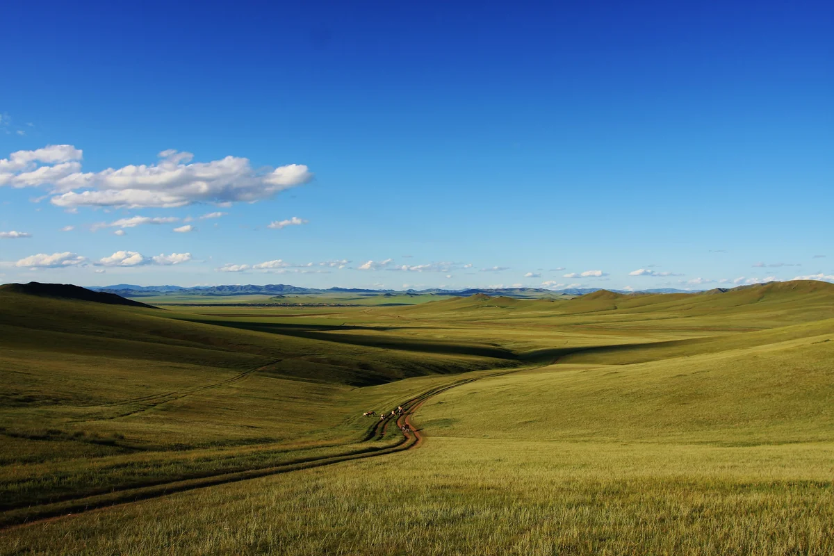 投稿写真：モンゴルの大草原