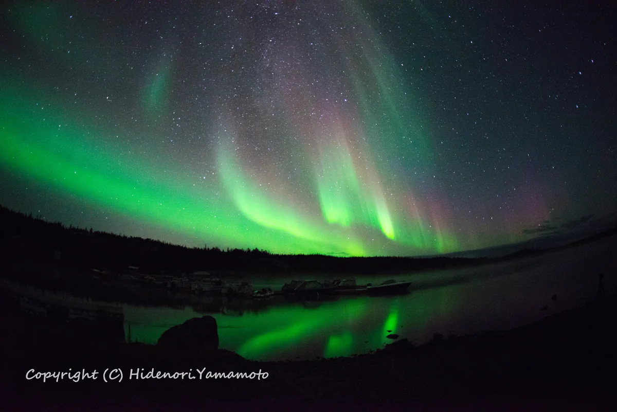 投稿写真：イエローナイフのオーロラ