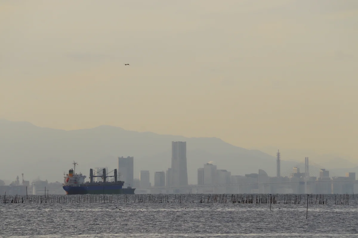 投稿写真：横浜遠望