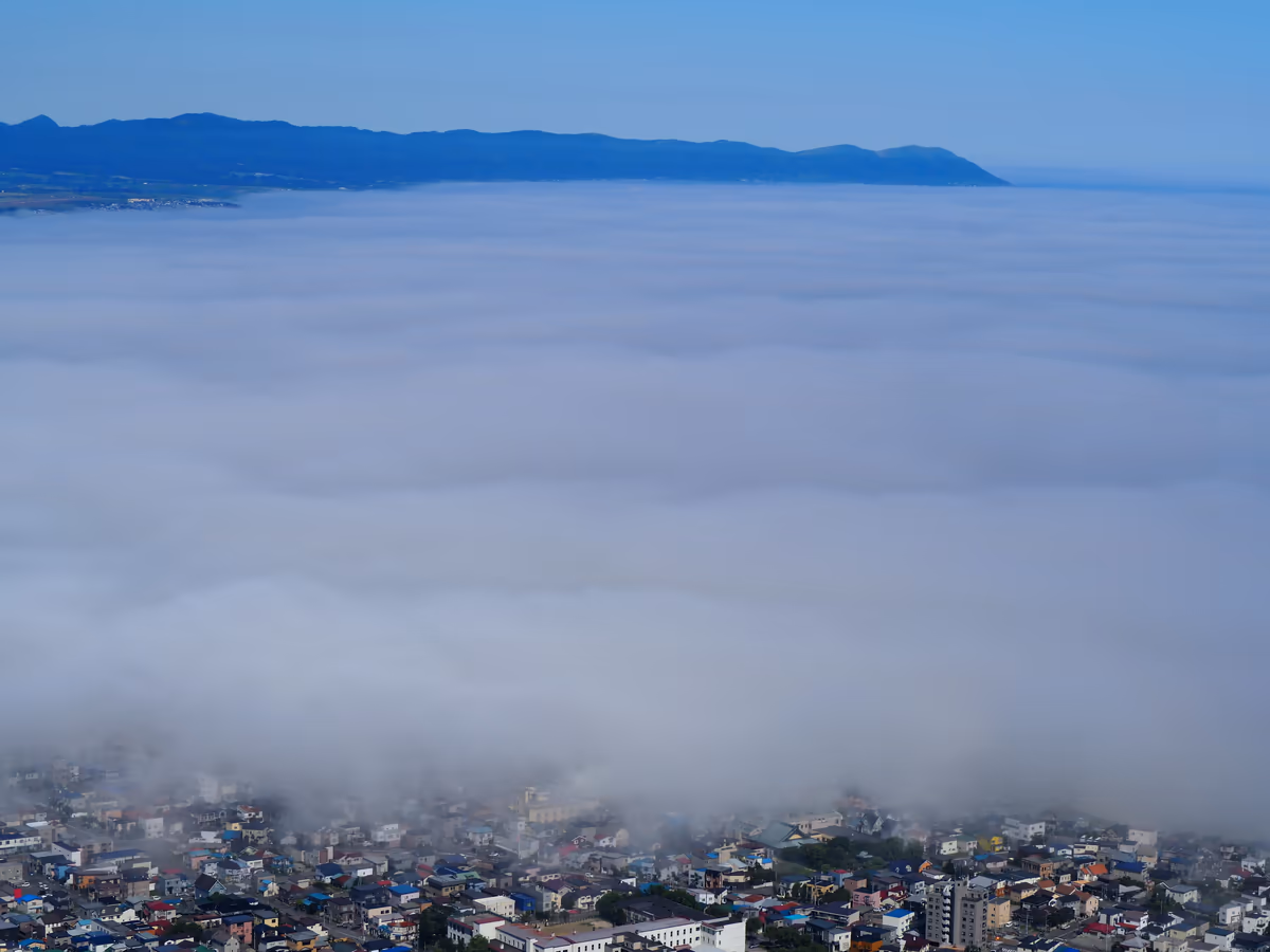 投稿写真：函館山からの景色