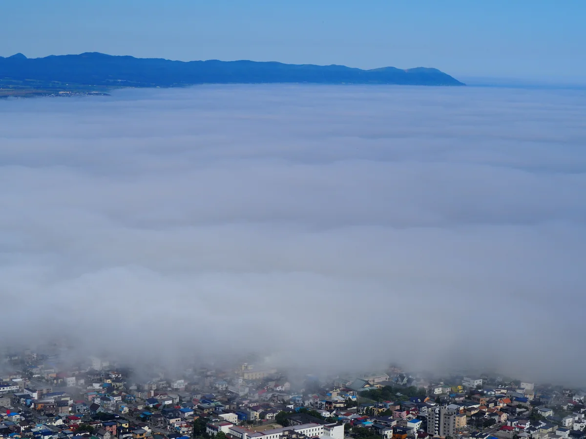 投稿写真：函館山からの景色