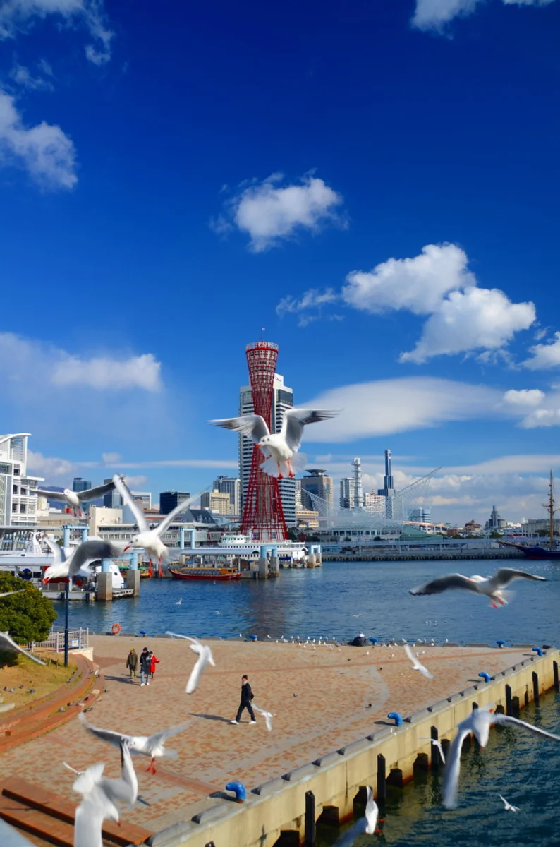 投稿写真：飛翔