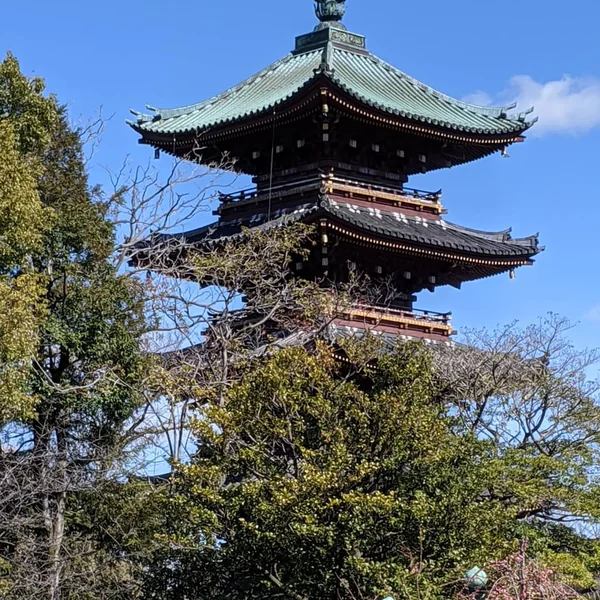 投稿：上野公園