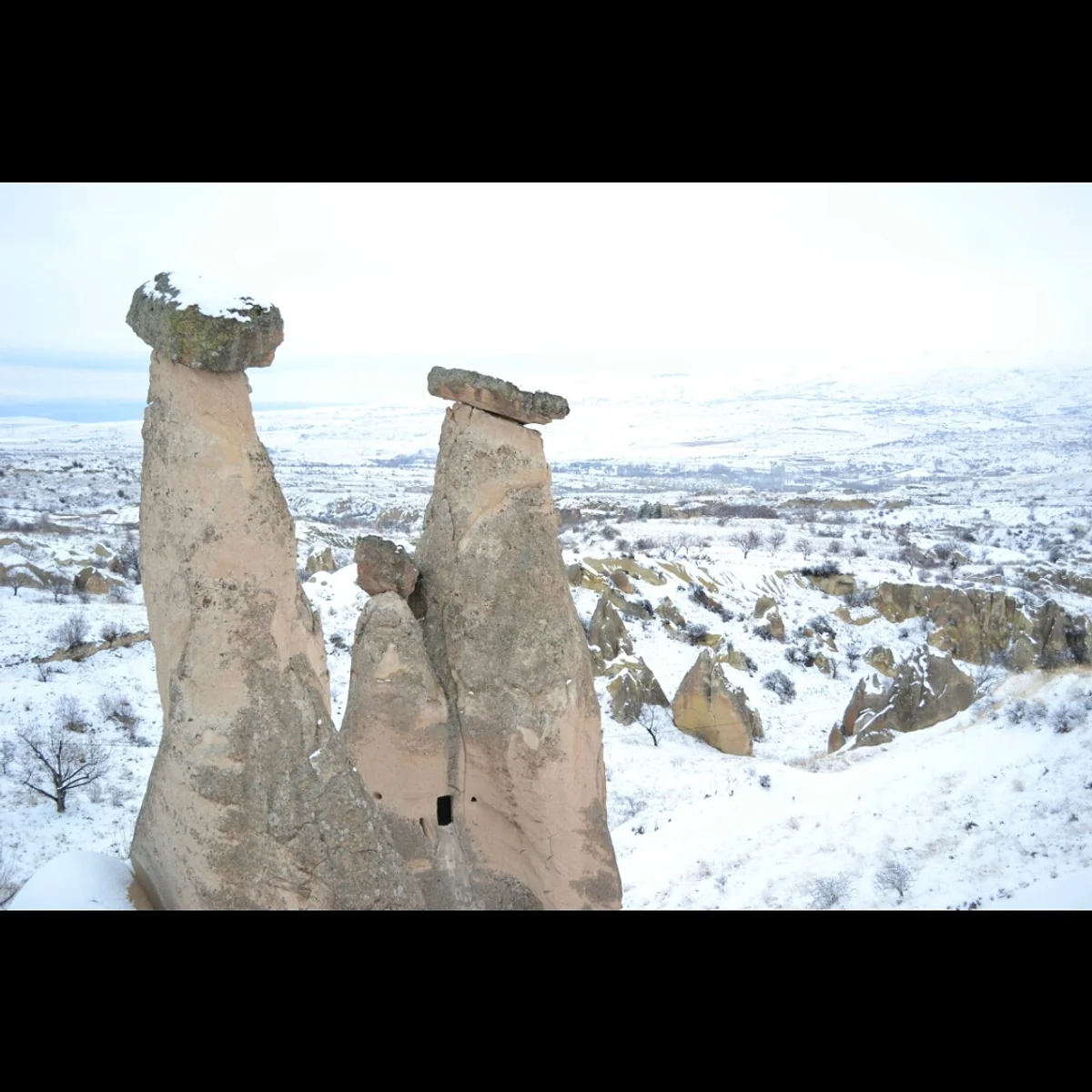 さとさんの投稿写真