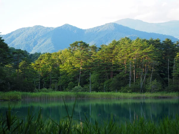 投稿：瑠璃沼の夏