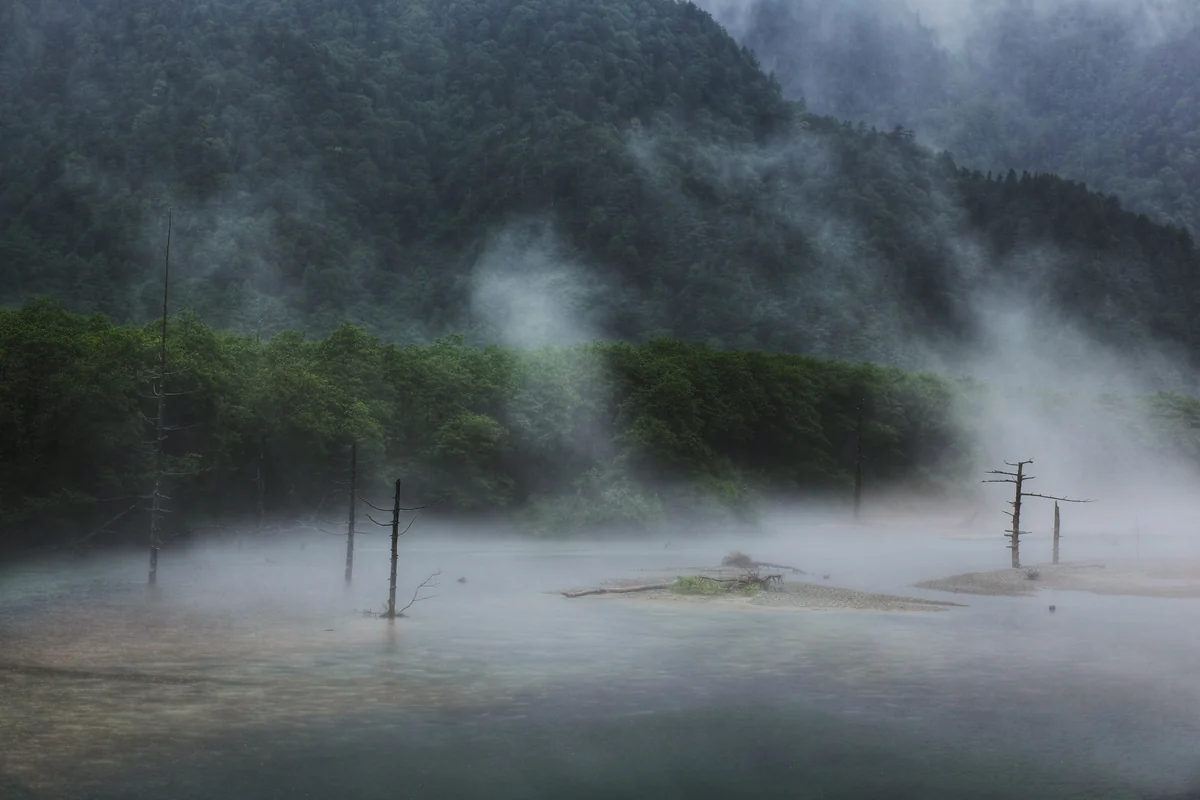 投稿写真：雨の大正池