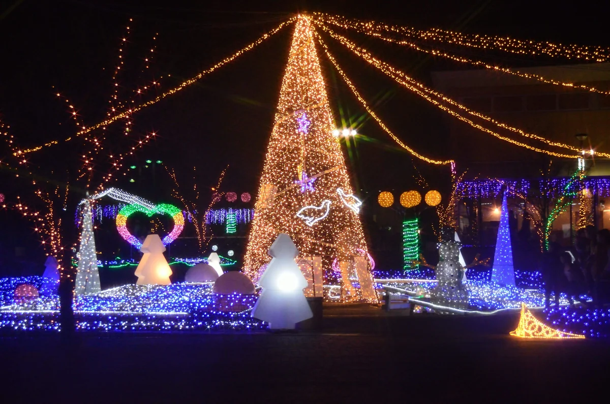 投稿写真：冬のイルミネーション