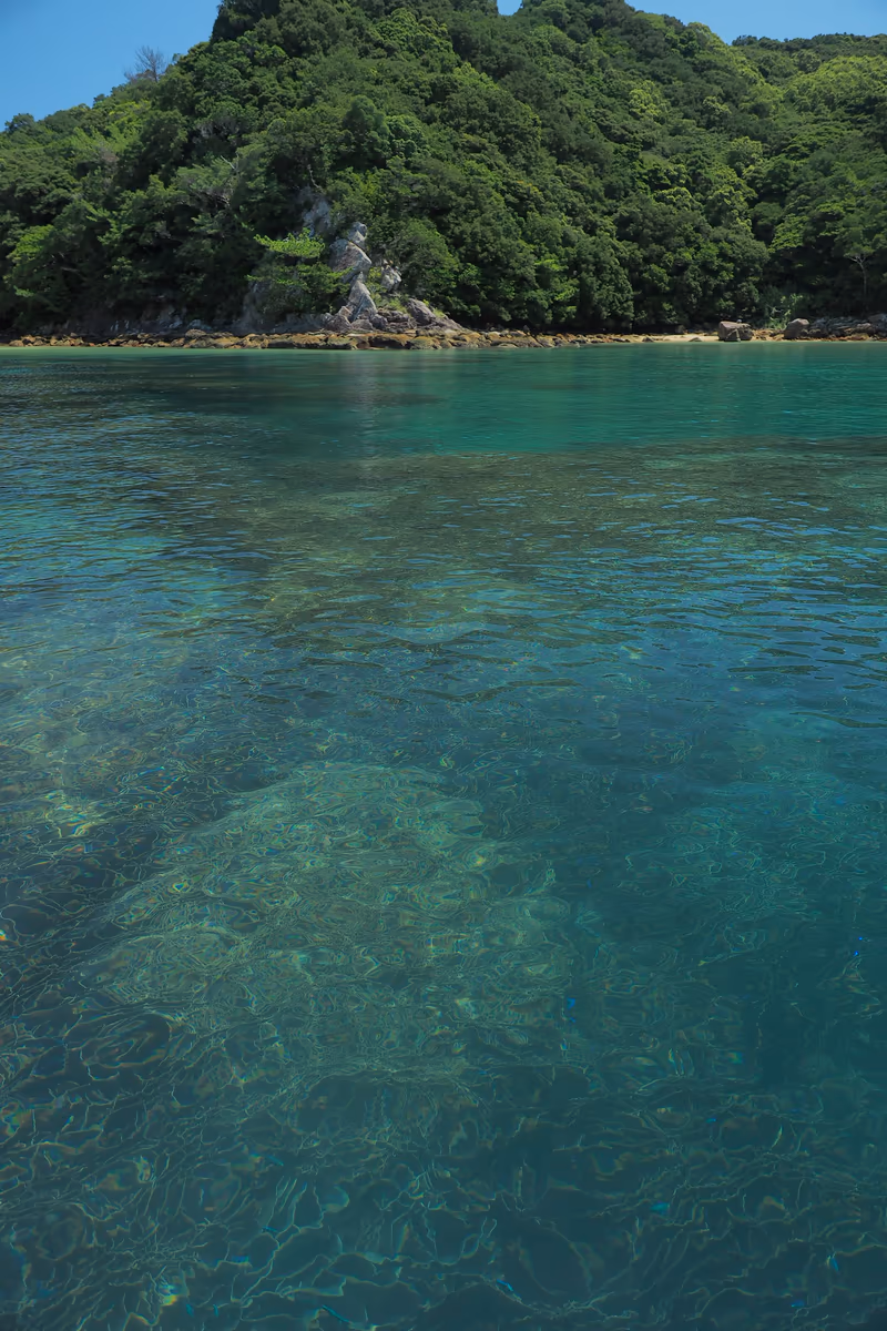 投稿写真：竜串の海