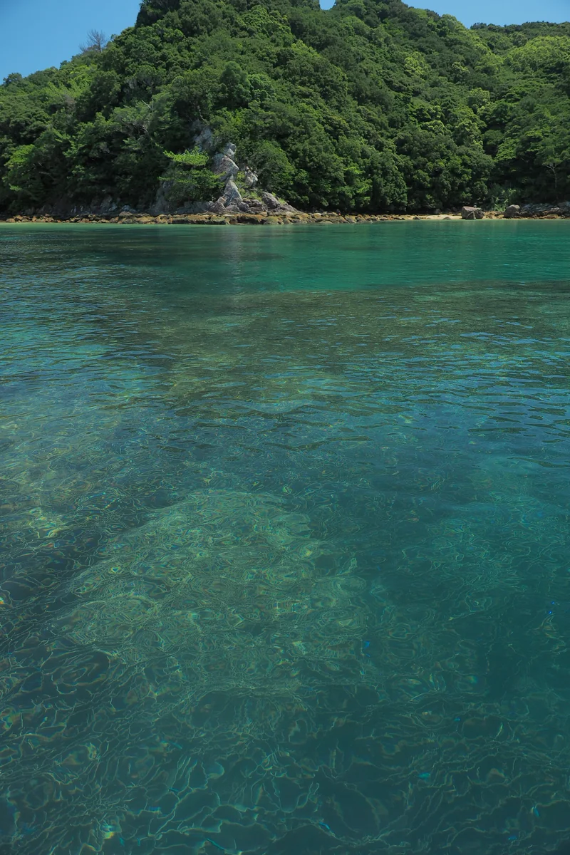 投稿写真：竜串の海