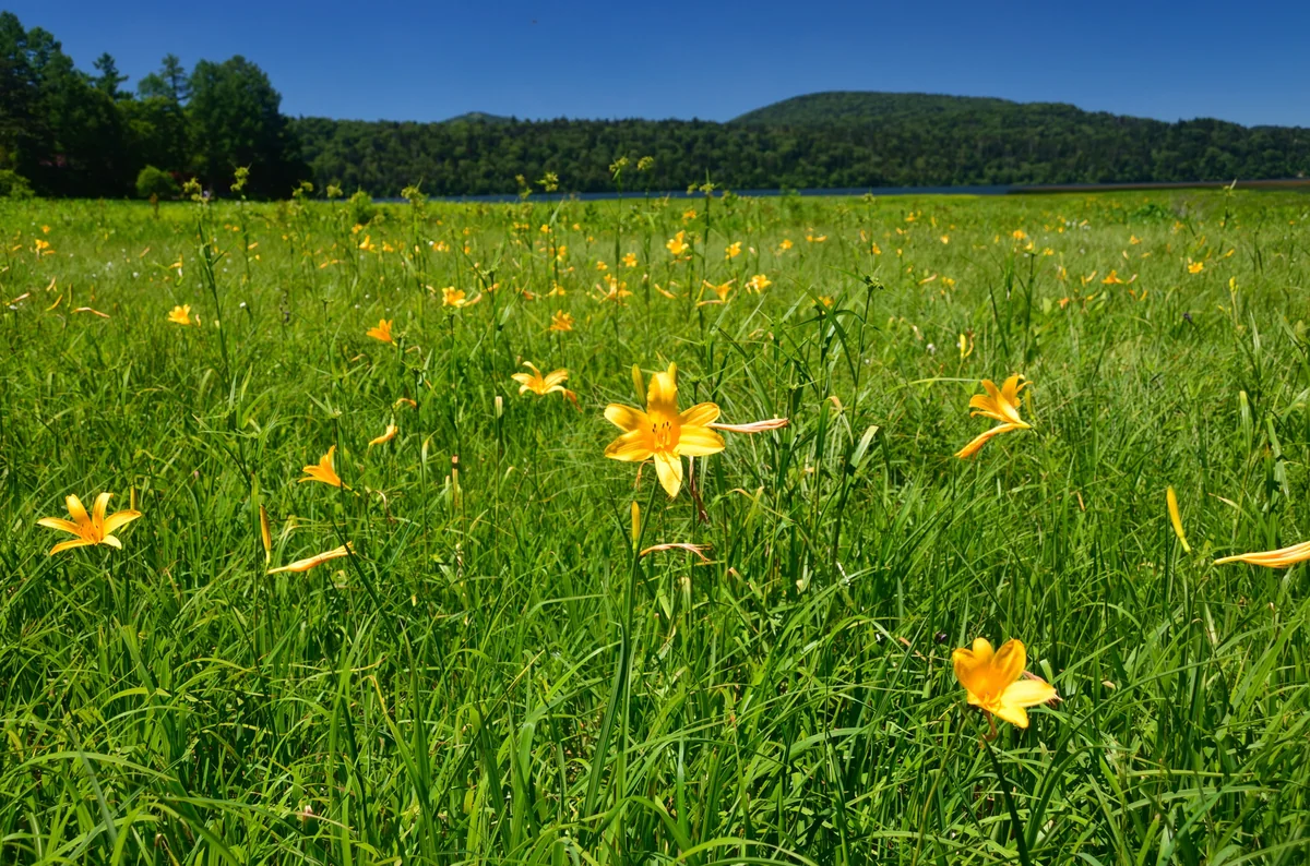 鬼瓦　鉄五郎さんの投稿写真