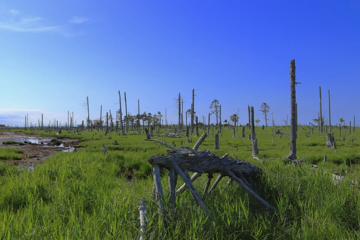 投稿写真：春国岱