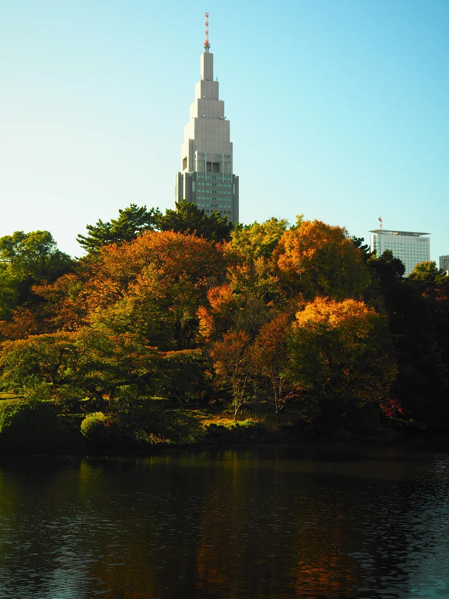 投稿写真：秋の新宿御苑