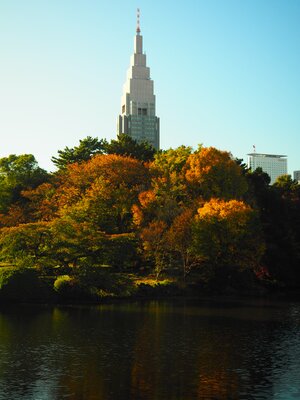  | 絶景事典
