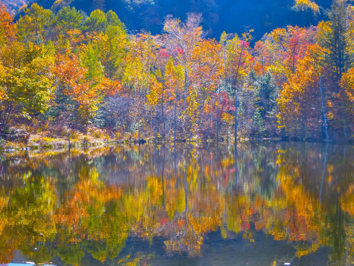 投稿写真：まいめの池に写るカラフルな紅葉