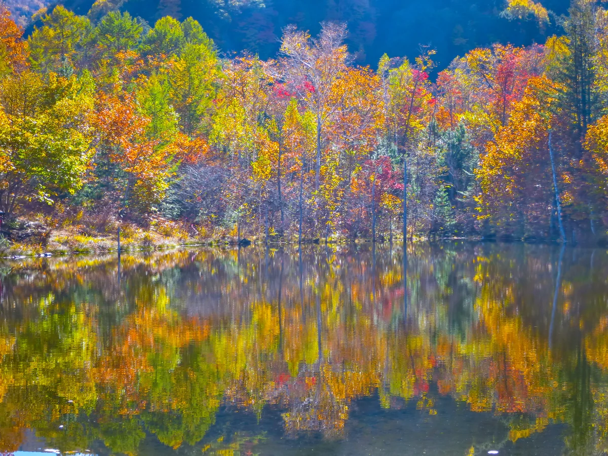 投稿写真：まいめの池に写るカラフルな紅葉