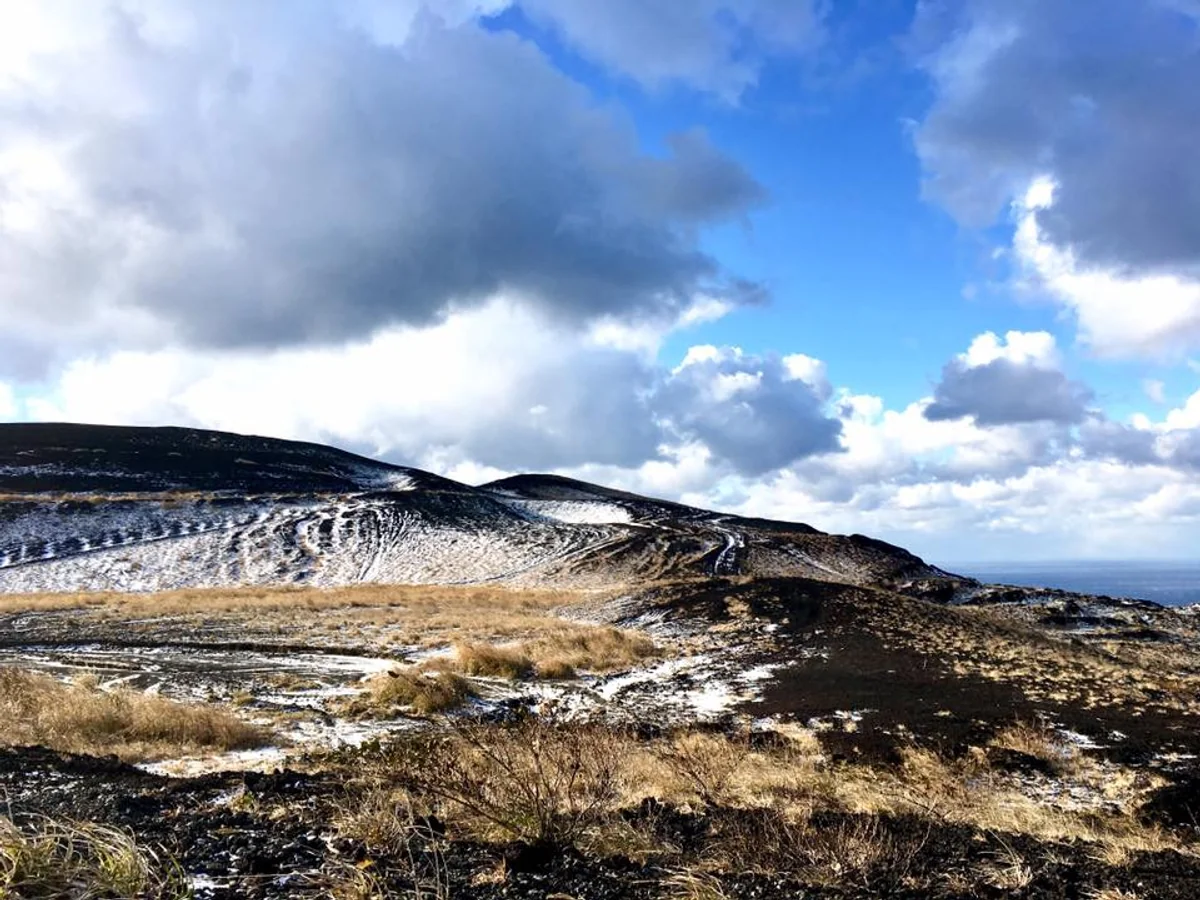投稿写真：島の雪