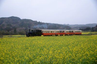  | 絶景事典
