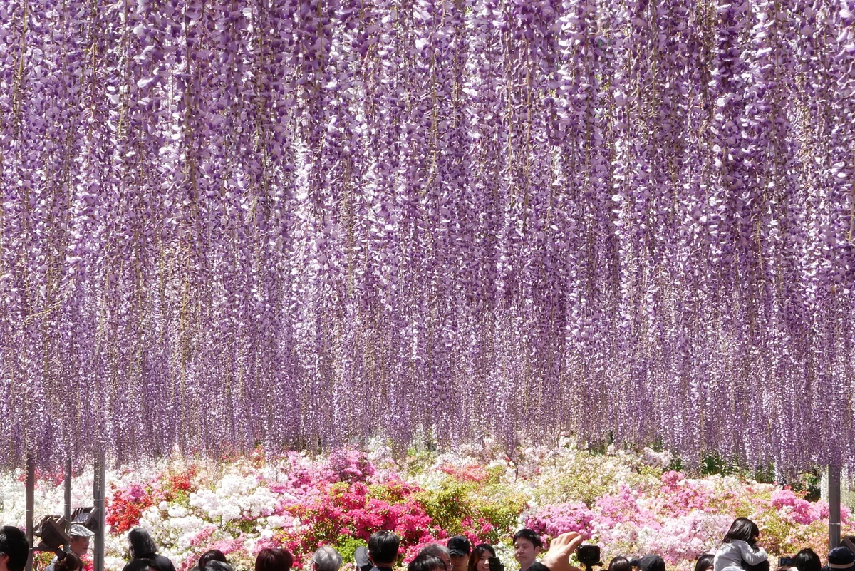 nabeziiiiさんの投稿写真