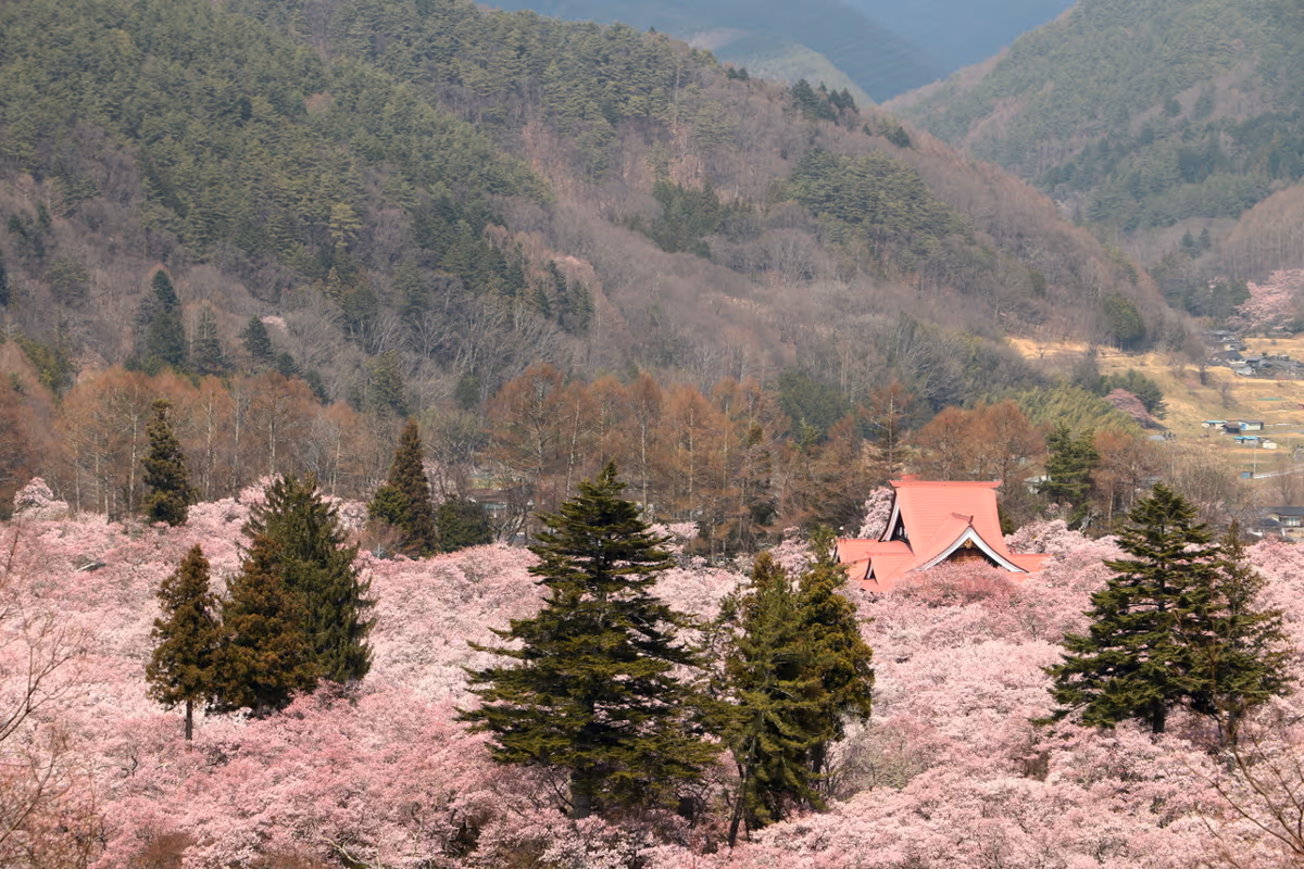 投稿写真：高遠城址公園