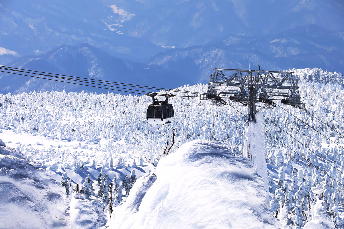 投稿写真：樹氷雪原へ
