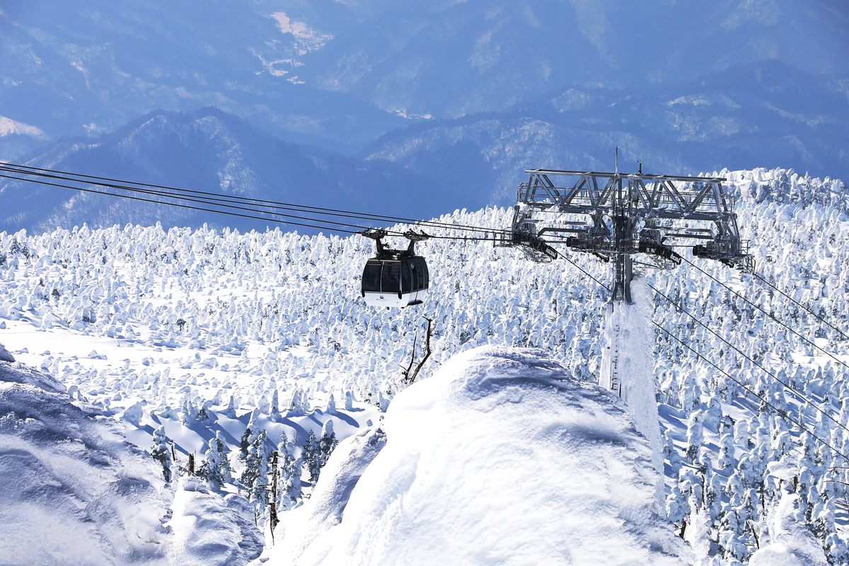 投稿写真：樹氷雪原へ