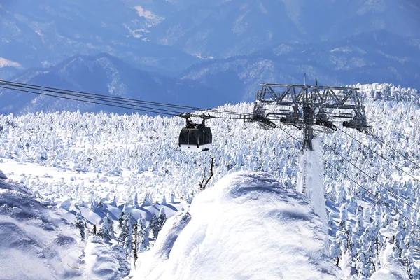投稿：樹氷雪原へ