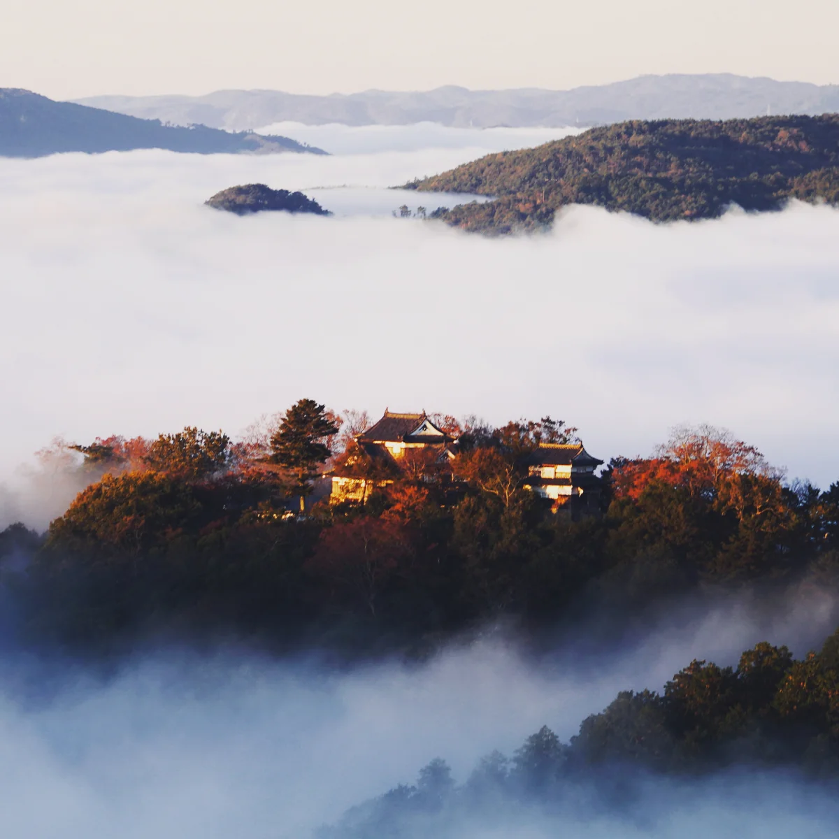 投稿写真：備中松山城