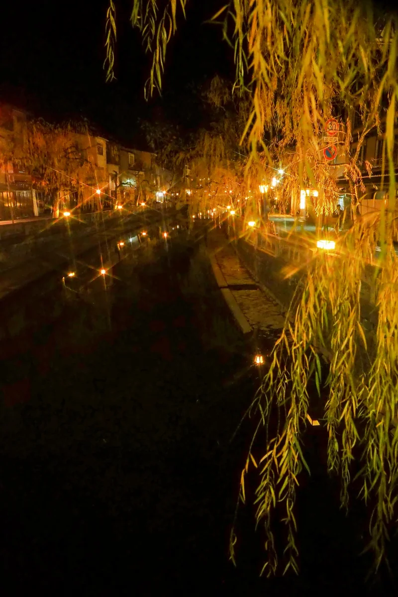 投稿写真：夜の城崎温泉