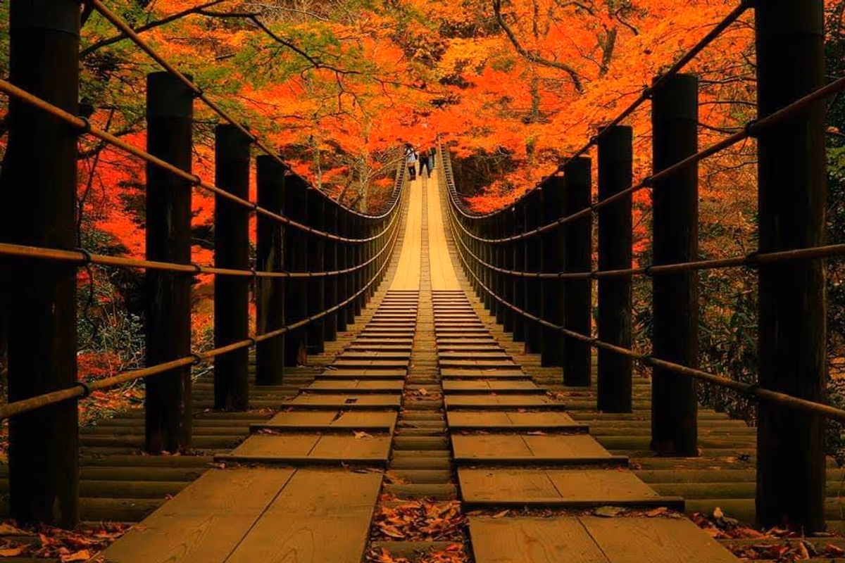 投稿写真：花貫渓谷