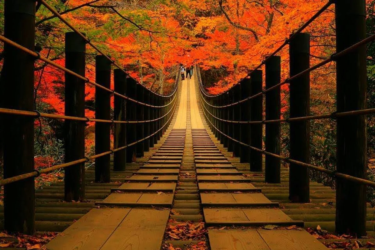 投稿写真：花貫渓谷