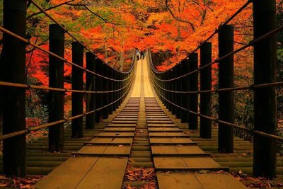 | 絶景事典