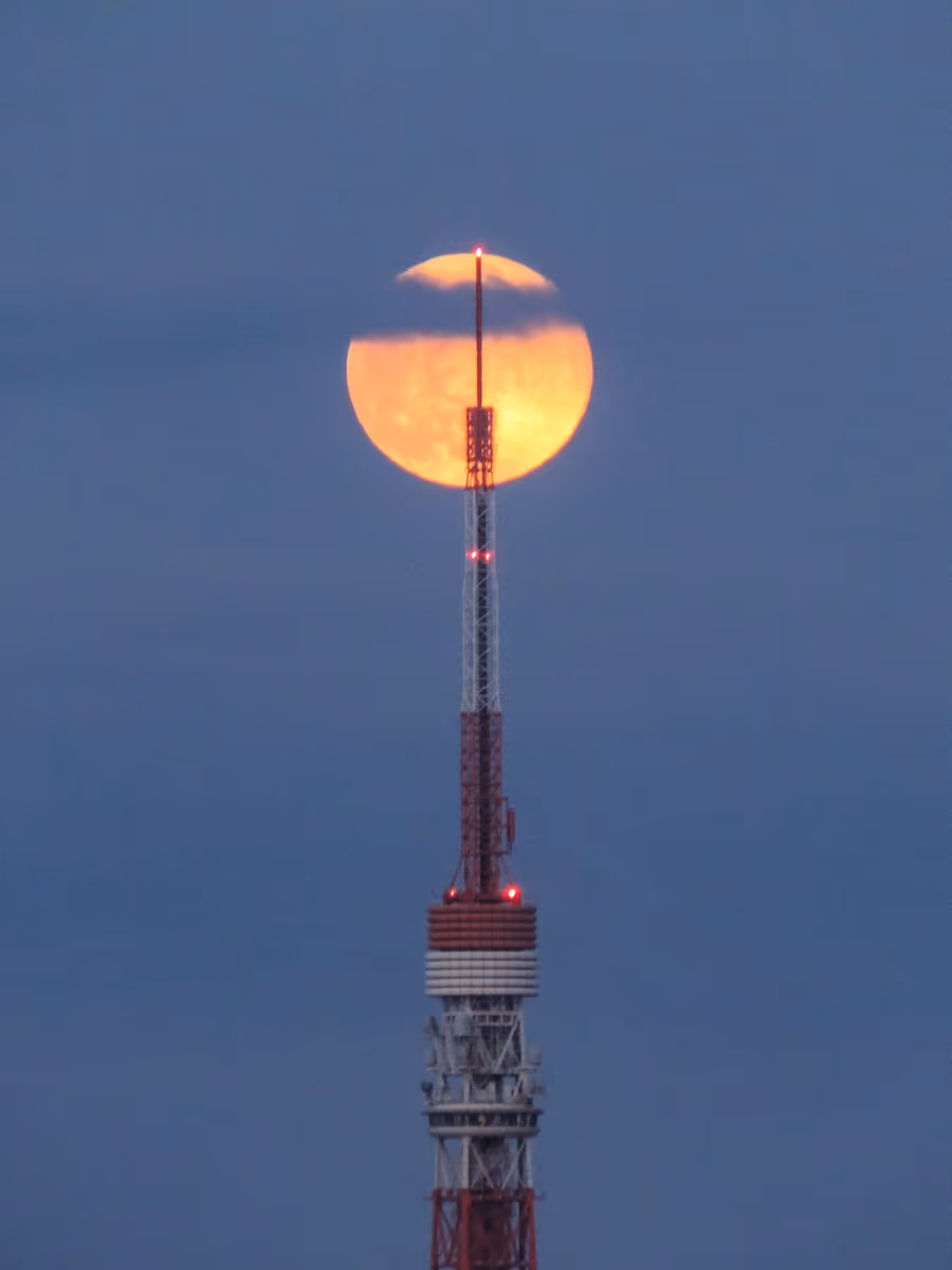 投稿写真：パール東京タワー