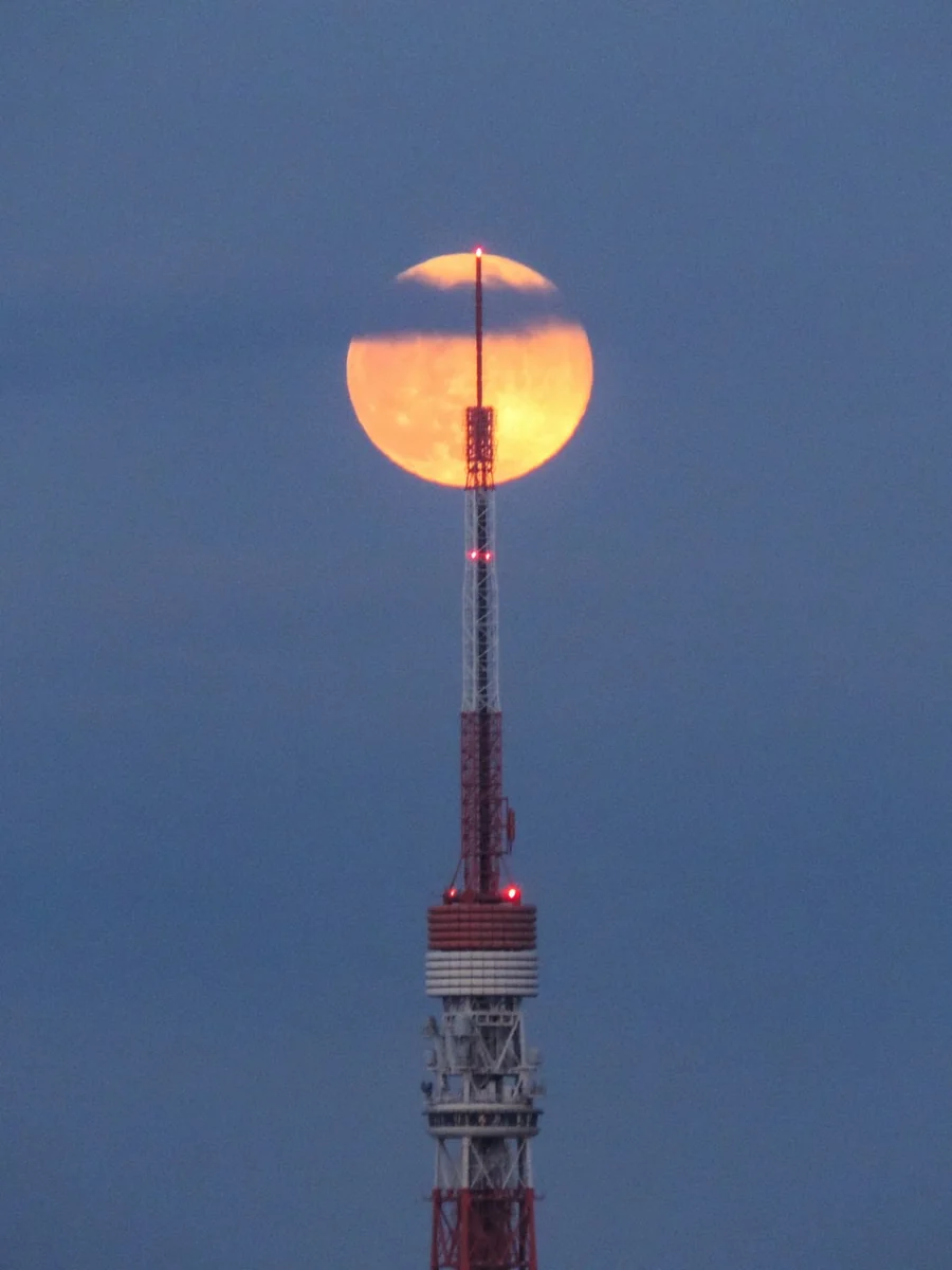 投稿写真：パール東京タワー