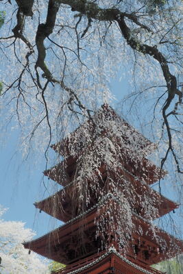  | 絶景事典