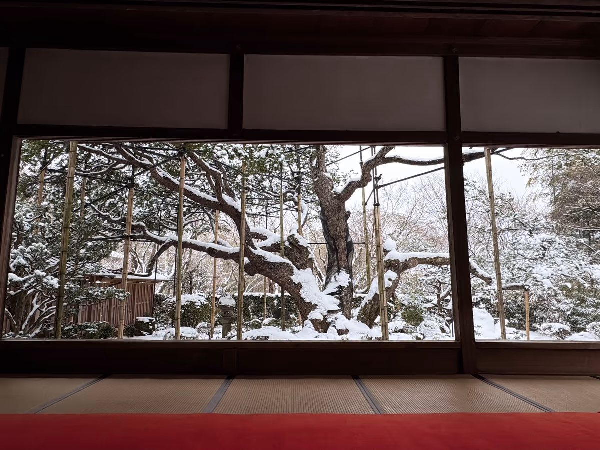 投稿写真：寒さを忘れる程の絶景❄️雪景色の額縁庭園