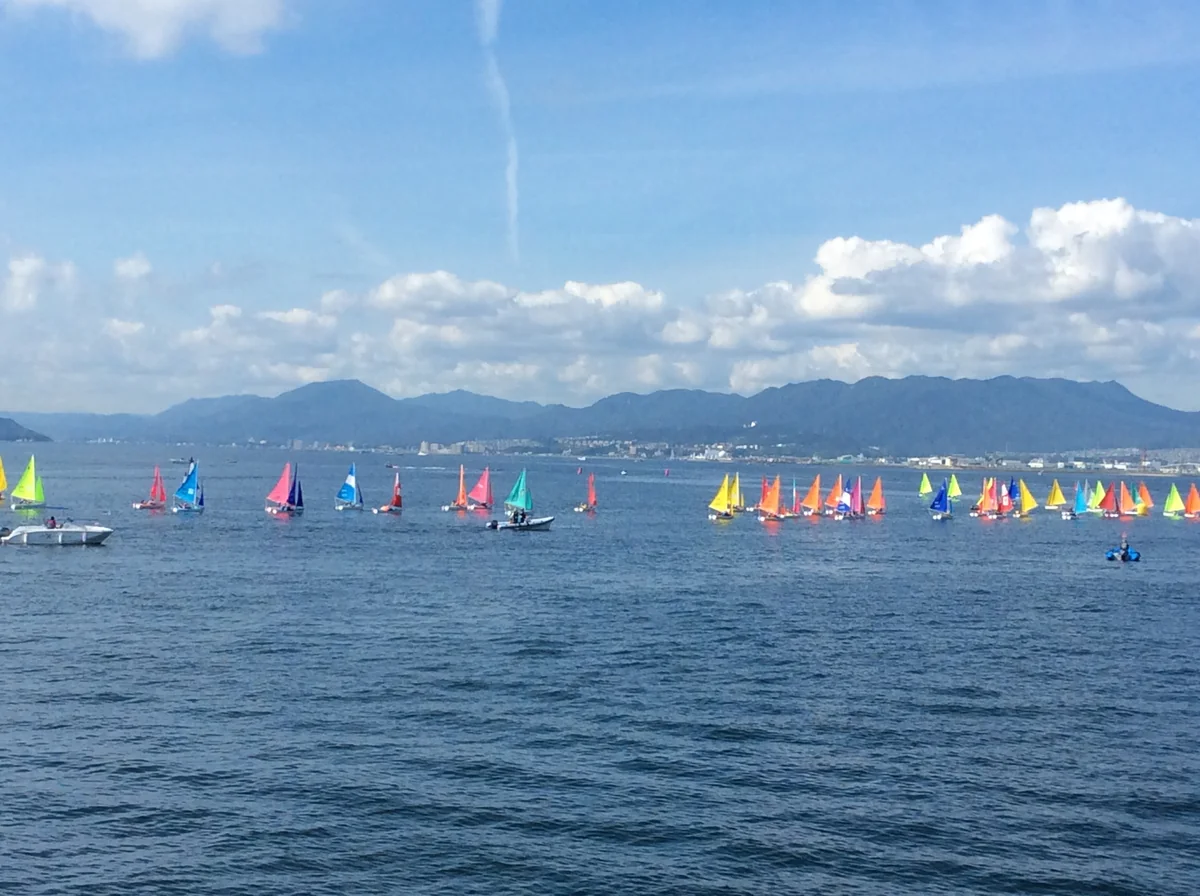 投稿写真：彩り