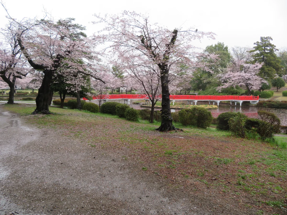 投稿写真：岩槻城址公園