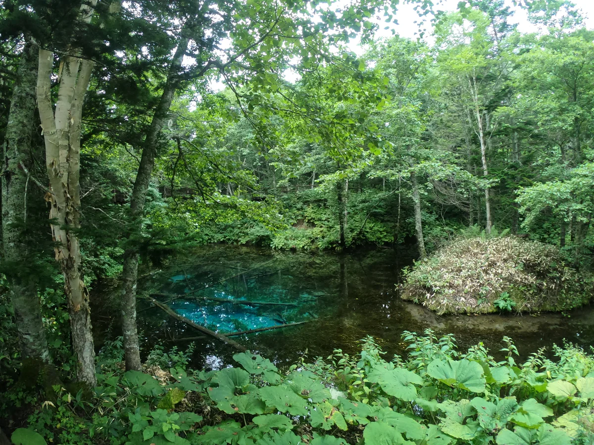 投稿写真：神の子池