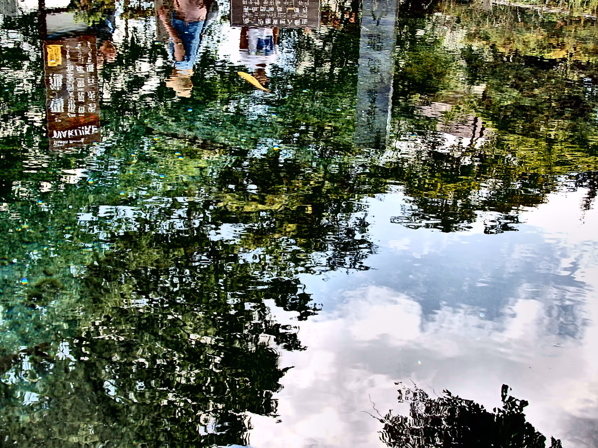 投稿写真：水面の絶景