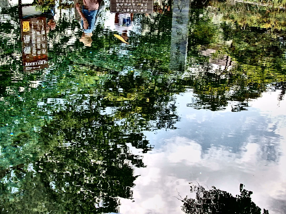 投稿写真：水面の絶景