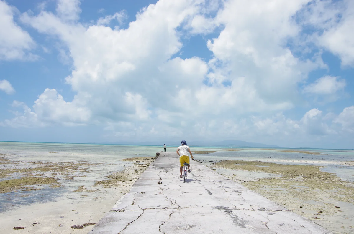 投稿写真：干潮の西桟橋
