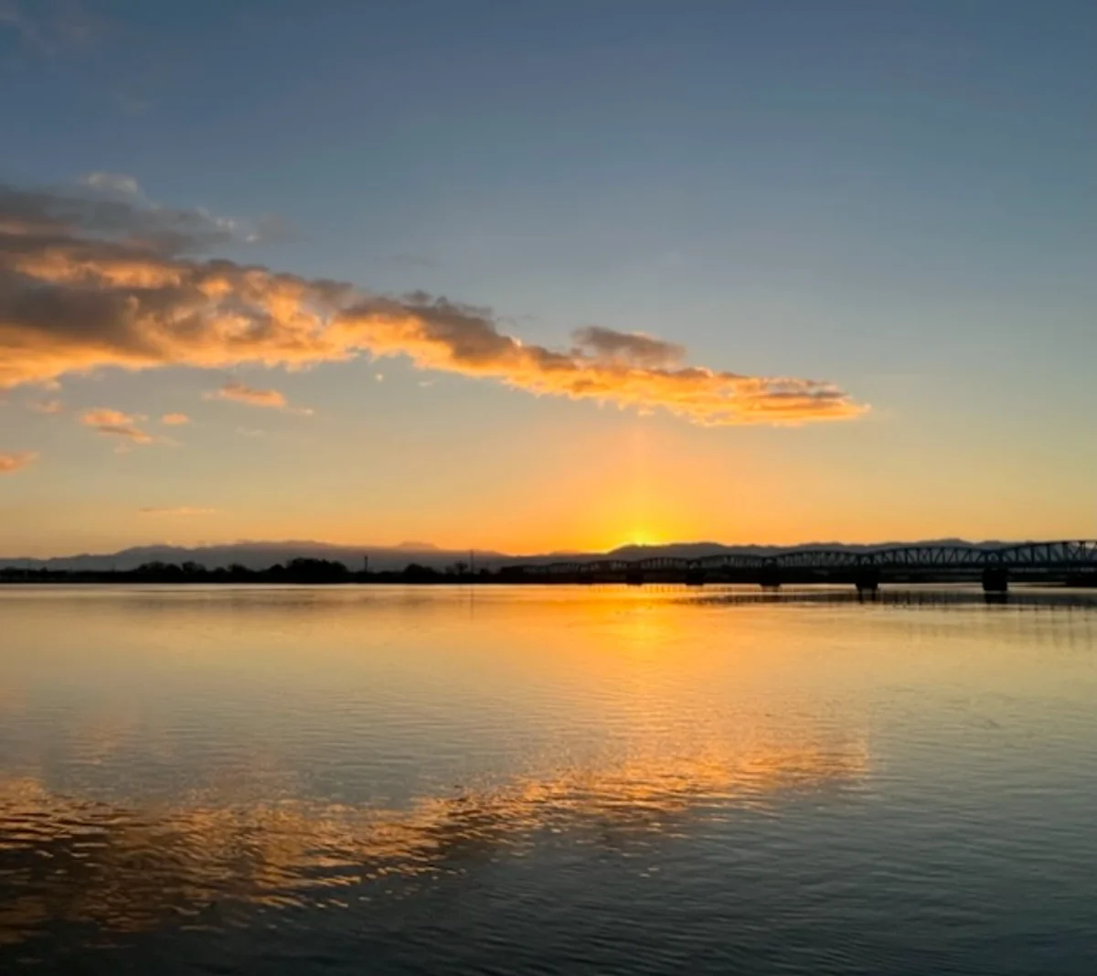 投稿写真：阿賀野川の龍