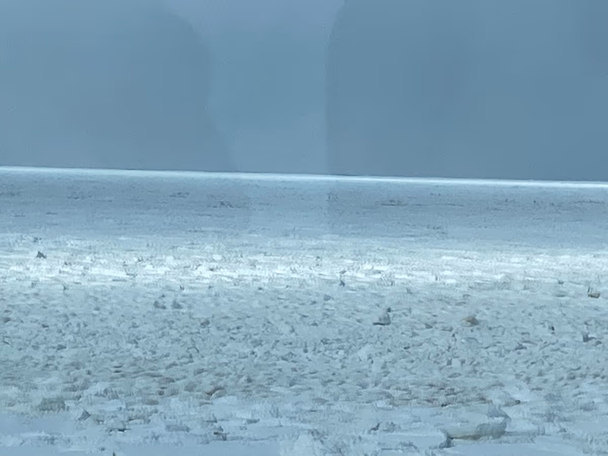 投稿写真：流氷原