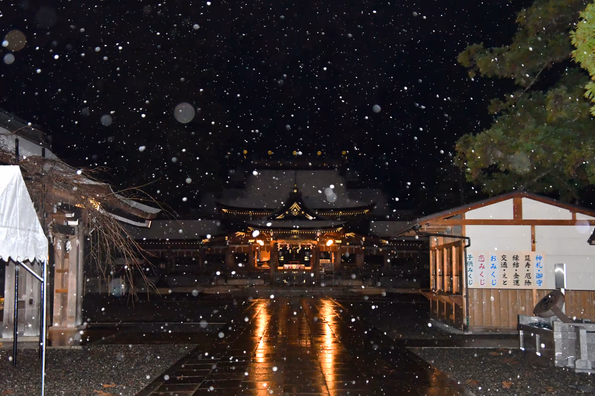 投稿写真：雪降る夜の多賀大社