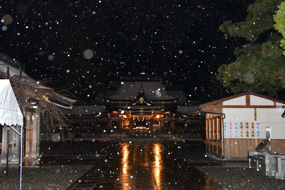 投稿写真：雪降る夜の多賀大社